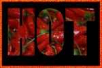 Chillies grob 50 g
