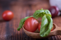 Bruschetta 100 g.