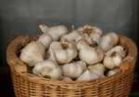 Dip - Knoblauch (griechisch) 50 g