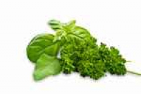 Estragon 20 g