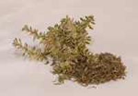 Thymian 25 g