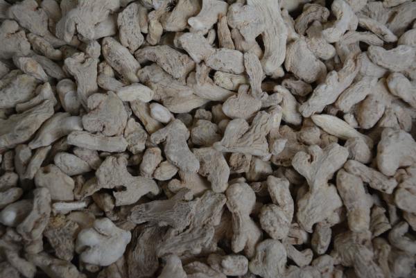 Ingwer ganze Wurzel 50 g