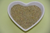 Rosmarin 100 g